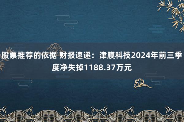 股票推荐的依据 财报速递：津膜科技2024年前三季度净失掉1188.37万元