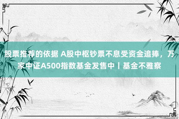 股票推荐的依据 A股中枢钞票不息受资金追捧，万家中证A500指数基金发售中丨基金不雅察