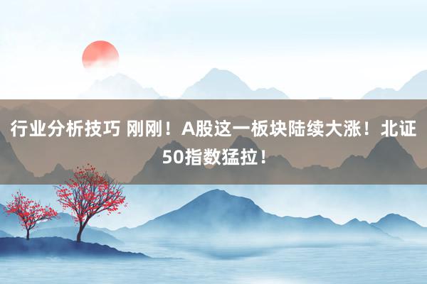 行业分析技巧 刚刚！A股这一板块陆续大涨！北证50指数猛拉！