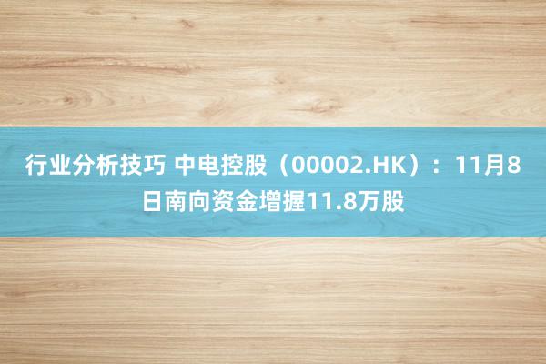 行业分析技巧 中电控股（00002.HK）：11月8日南向资金增握11.8万股