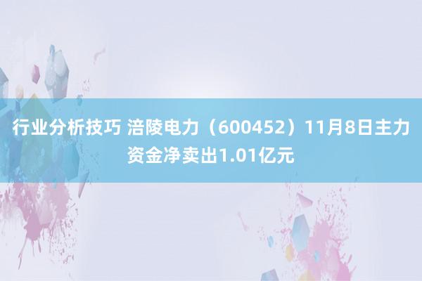 行业分析技巧 涪陵电力（600452）11月8日主力资金净卖出1.01亿元