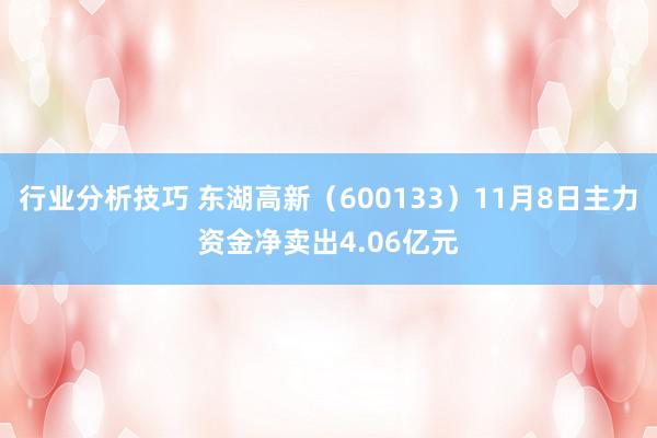 行业分析技巧 东湖高新（600133）11月8日主力资金净卖出4.06亿元