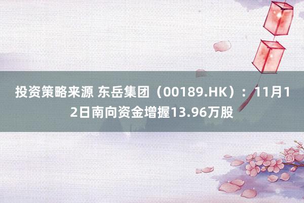 投资策略来源 东岳集团（00189.HK）：11月12日南向资金增握13.96万股