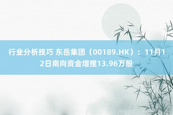 行业分析技巧 东岳集团（00189.HK）：11月12日南向资金增捏13.96万股