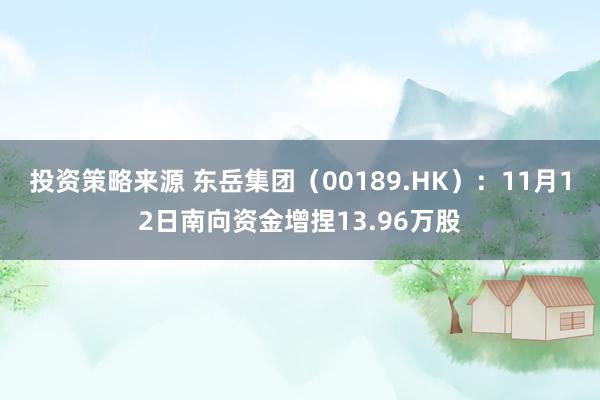 投资策略来源 东岳集团（00189.HK）：11月12日南向资金增捏13.96万股