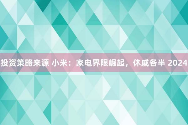 投资策略来源 小米：家电界限崛起，休戚各半 2024