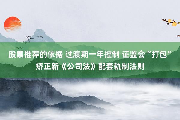 股票推荐的依据 过渡期一年控制 证监会“打包”矫正新《公司法》配套轨制法则