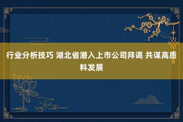 行业分析技巧 湖北省潜入上市公司拜谒 共谋高质料发展