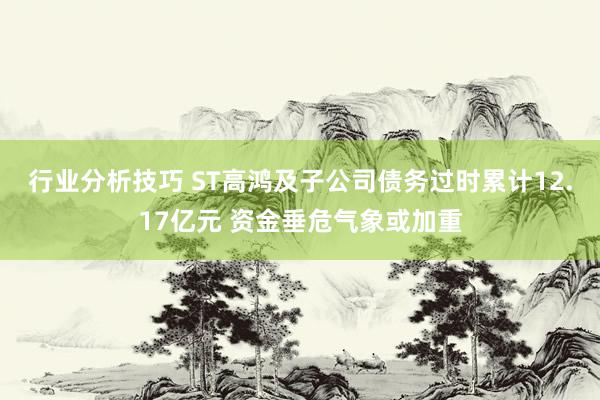 行业分析技巧 ST高鸿及子公司债务过时累计12.17亿元 资金垂危气象或加重