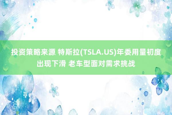 投资策略来源 特斯拉(TSLA.US)年委用量初度出现下滑 老车型面对需求挑战