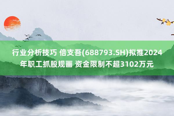 行业分析技巧 倍支吾(688793.SH)拟推2024年职工抓股规画 资金限制不超3102万元