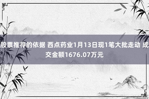 股票推荐的依据 西点药业1月13日现1笔大批走动 成交金额1676.07万元