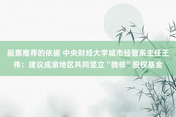 股票推荐的依据 中央财经大学城市经管系主任王伟：建议成渝地区共同竖立“微核”股权基金