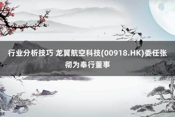 行业分析技巧 龙翼航空科技(00918.HK)委任张彻为奉行董事