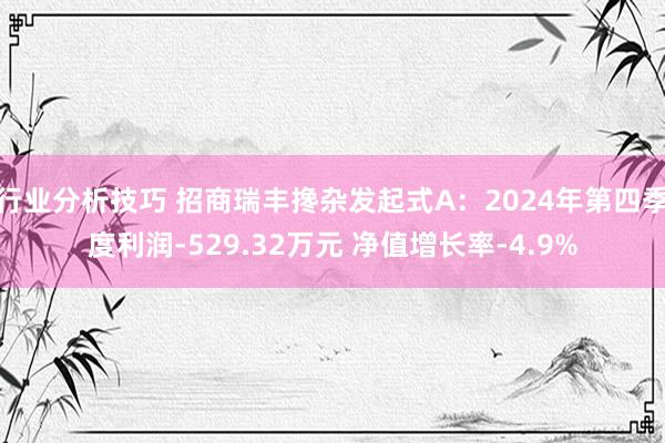 行业分析技巧 招商瑞丰搀杂发起式A：2024年第四季度利润-529.32万元 净值增长率-4.9%