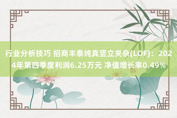 行业分析技巧 招商丰泰纯真竖立夹杂(LOF)：2024年第四季度利润6.25万元 净值增长率0.49%