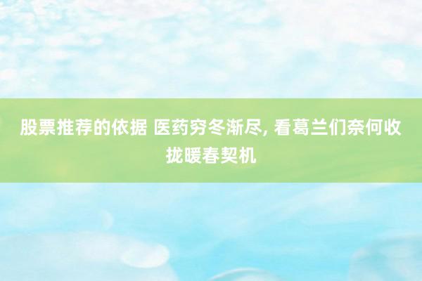 股票推荐的依据 医药穷冬渐尽, 看葛兰们奈何收拢暖春契机