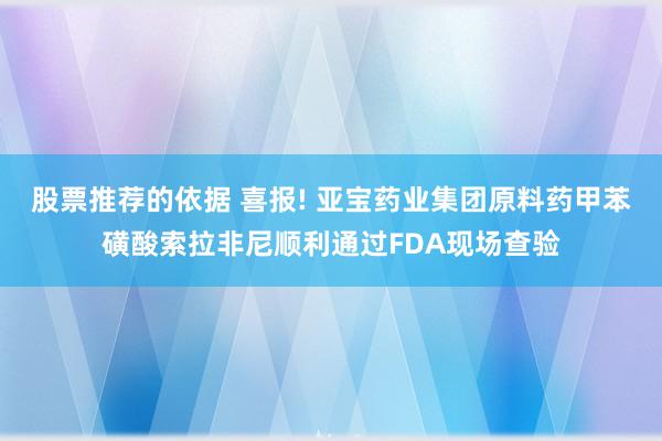 股票推荐的依据 喜报! 亚宝药业集团原料药甲苯磺酸索拉非尼顺利通过FDA现场查验