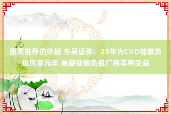 股票推荐的依据 东吴证券：25年为CVD硅碳负极放量元年 展望硅碳负极厂商等将受益