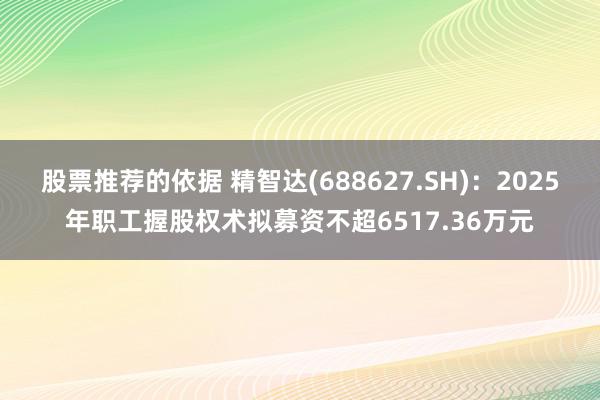 股票推荐的依据 精智达(688627.SH)：2025年职工握股权术拟募资不超6517.36万元