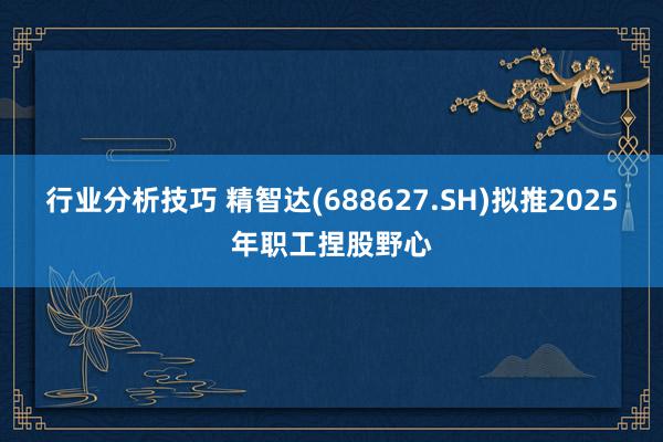 行业分析技巧 精智达(688627.SH)拟推2025年职工捏股野心