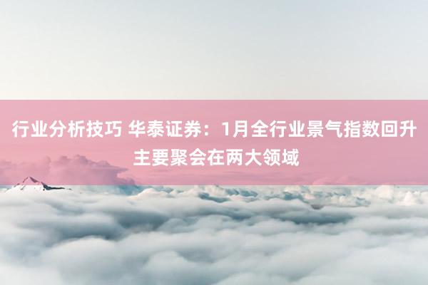 行业分析技巧 华泰证券：1月全行业景气指数回升 主要聚会在两大领域