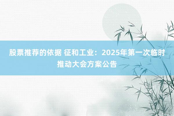 股票推荐的依据 征和工业：2025年第一次临时推动大会方案公告