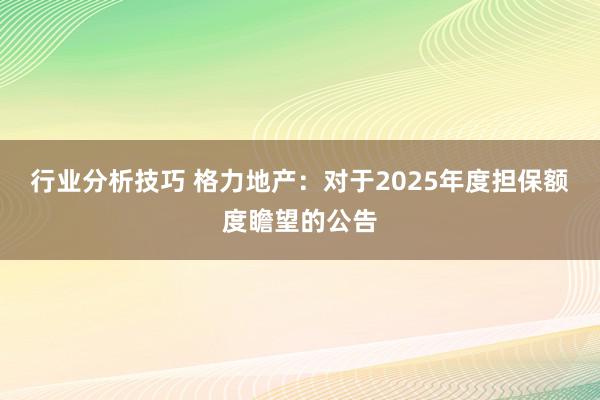 行业分析技巧 格力地产：对于2025年度担保额度瞻望的公告