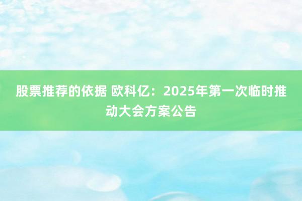 股票推荐的依据 欧科亿：2025年第一次临时推动大会方案公告