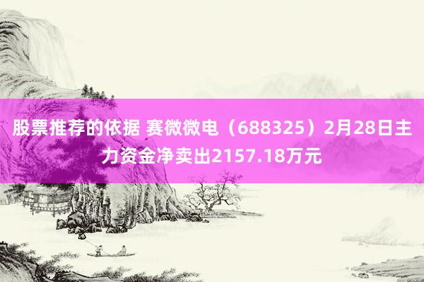 股票推荐的依据 赛微微电（688325）2月28日主力资金净卖出2157.18万元