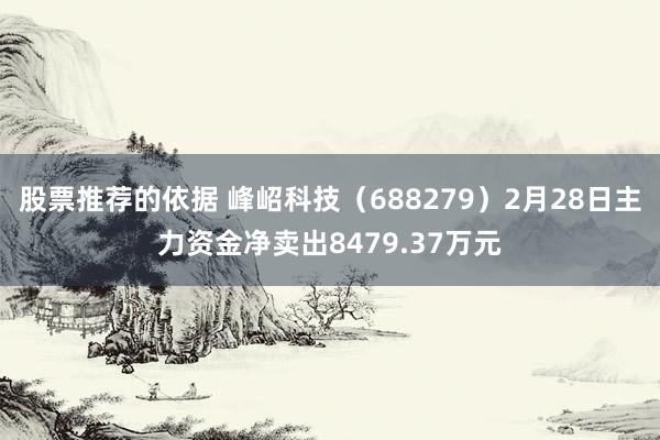 股票推荐的依据 峰岹科技（688279）2月28日主力资金净卖出8479.37万元