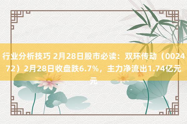 行业分析技巧 2月28日股市必读：双环传动（002472）2月28日收盘跌6.7%，主力净流出1.74亿元