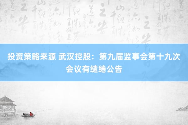 投资策略来源 武汉控股：第九届监事会第十九次会议有缱绻公告