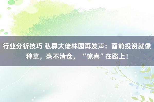 行业分析技巧 私募大佬林园再发声：面前投资就像种草，毫不清仓， “惊喜”在路上！